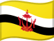 Flag of BND