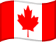 Flag of CAD